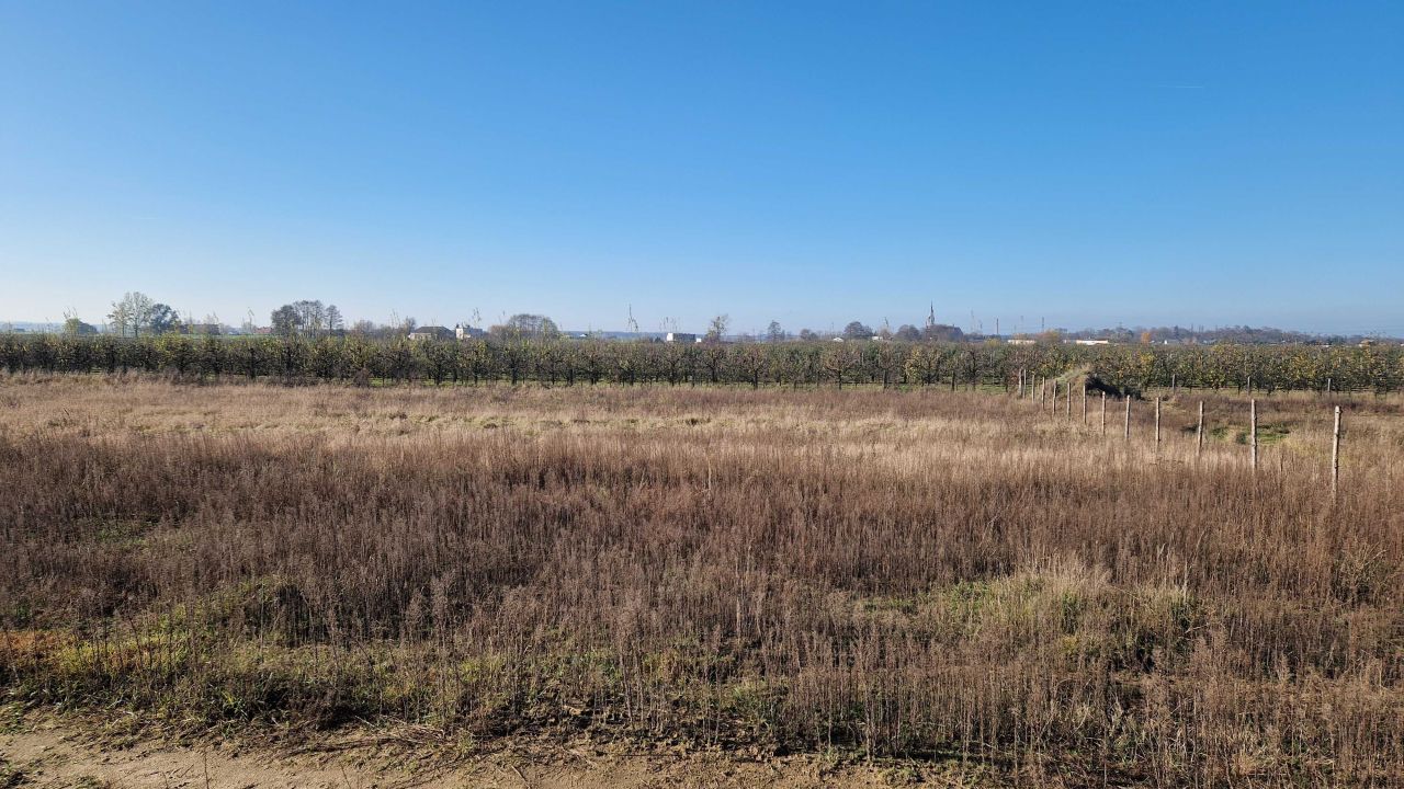 Działka budowlana Chełmica Duża. Zdjęcie 3