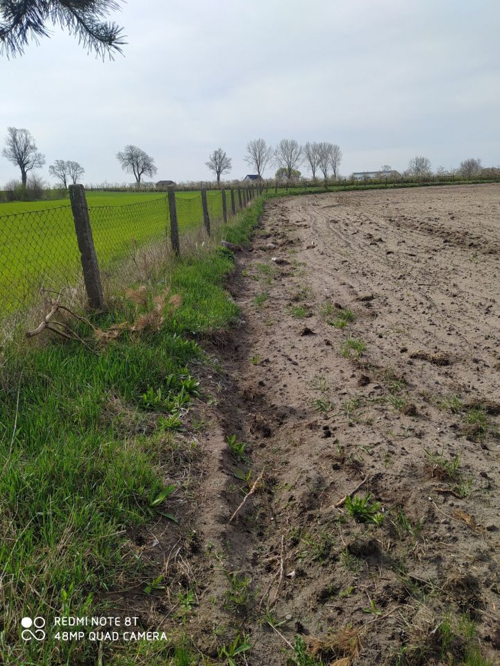 Działka rolno-budowlana Rataje. Zdjęcie 6