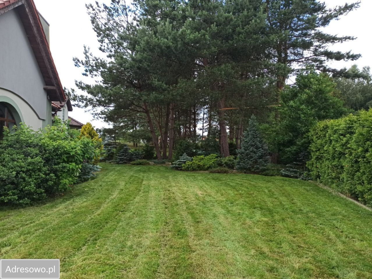 dom wolnostojący, 5 pokoi Bojano. Zdjęcie 17