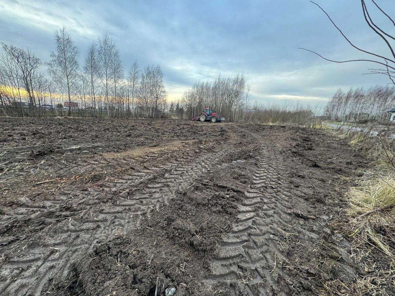 Działka rolno-budowlana Cisy. Zdjęcie 3