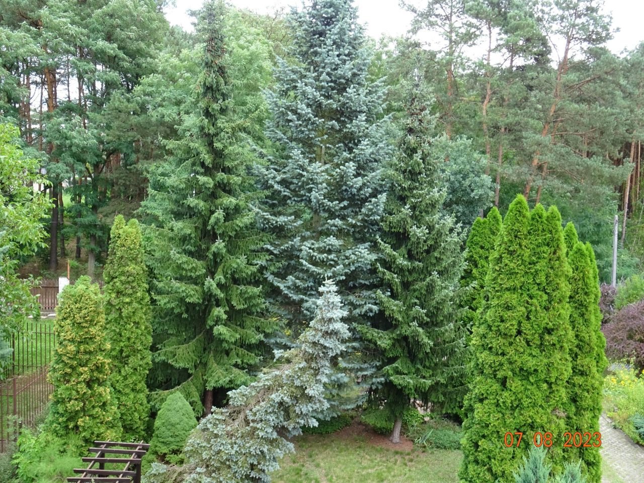 dom wolnostojący, 5 pokoi Długa Szlachecka, ul. Jana Matejki. Zdjęcie 8