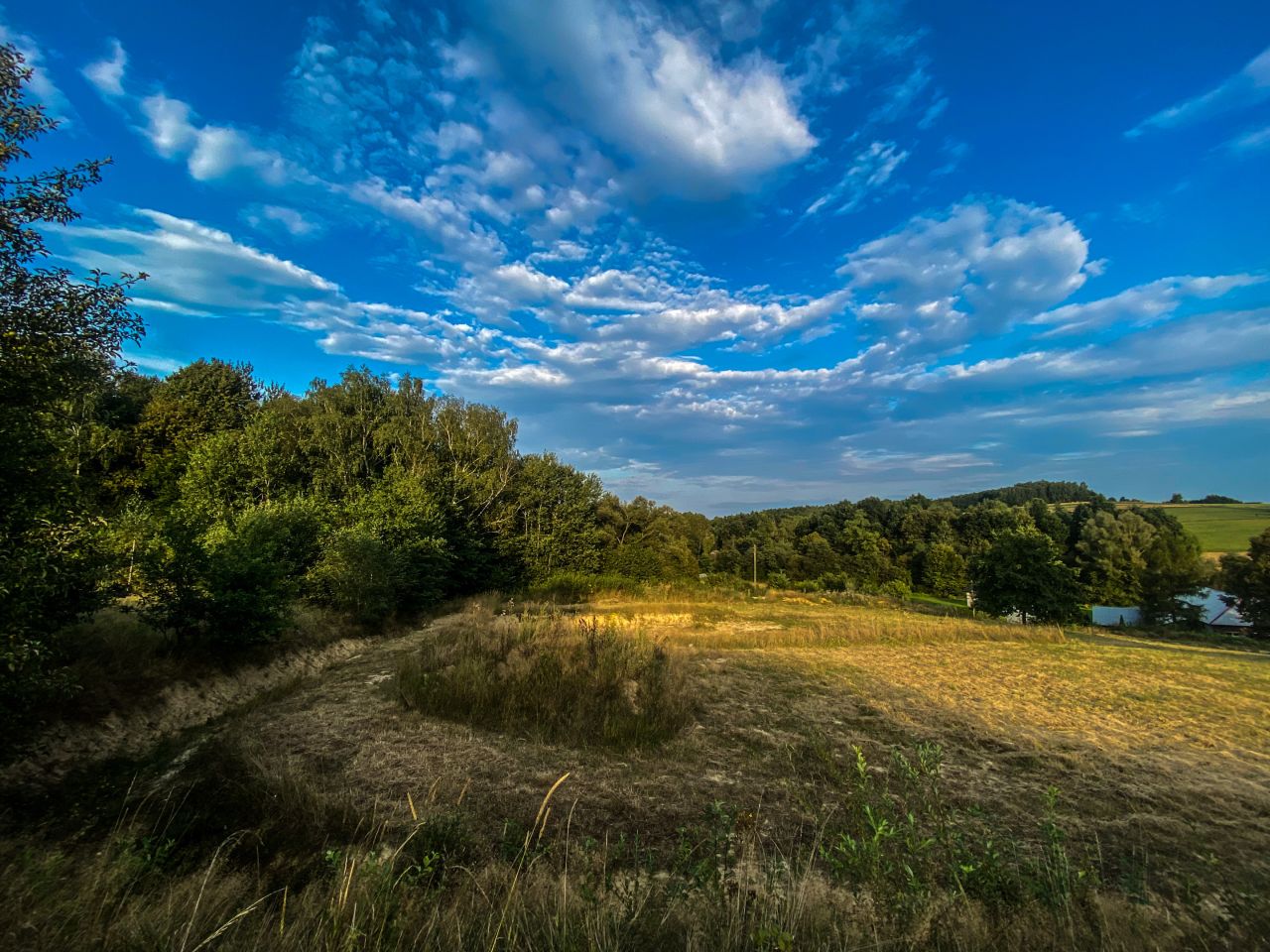 Działka rolno-budowlana Rożnowice Padoły. Zdjęcie 3