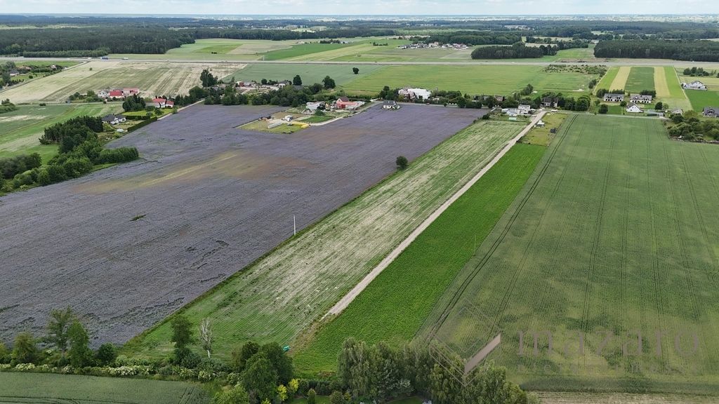 Działka Żołędowo. Zdjęcie 5