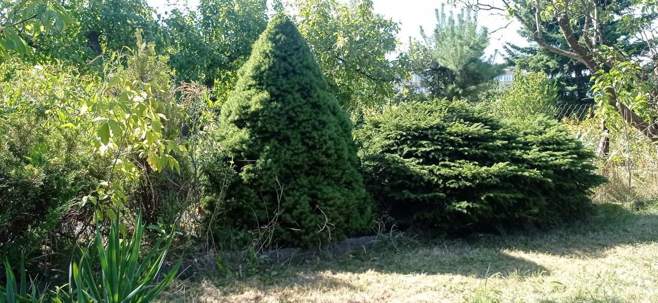 Działka rod Łódź Widzew, ul. Lodowa. Zdjęcie 39