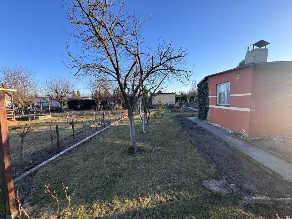 Działka rod Osiek. Zdjęcie 8