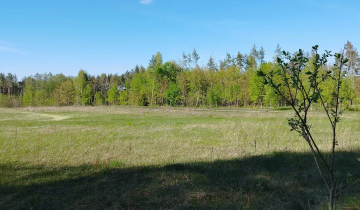 Działka budowlana Przykopka