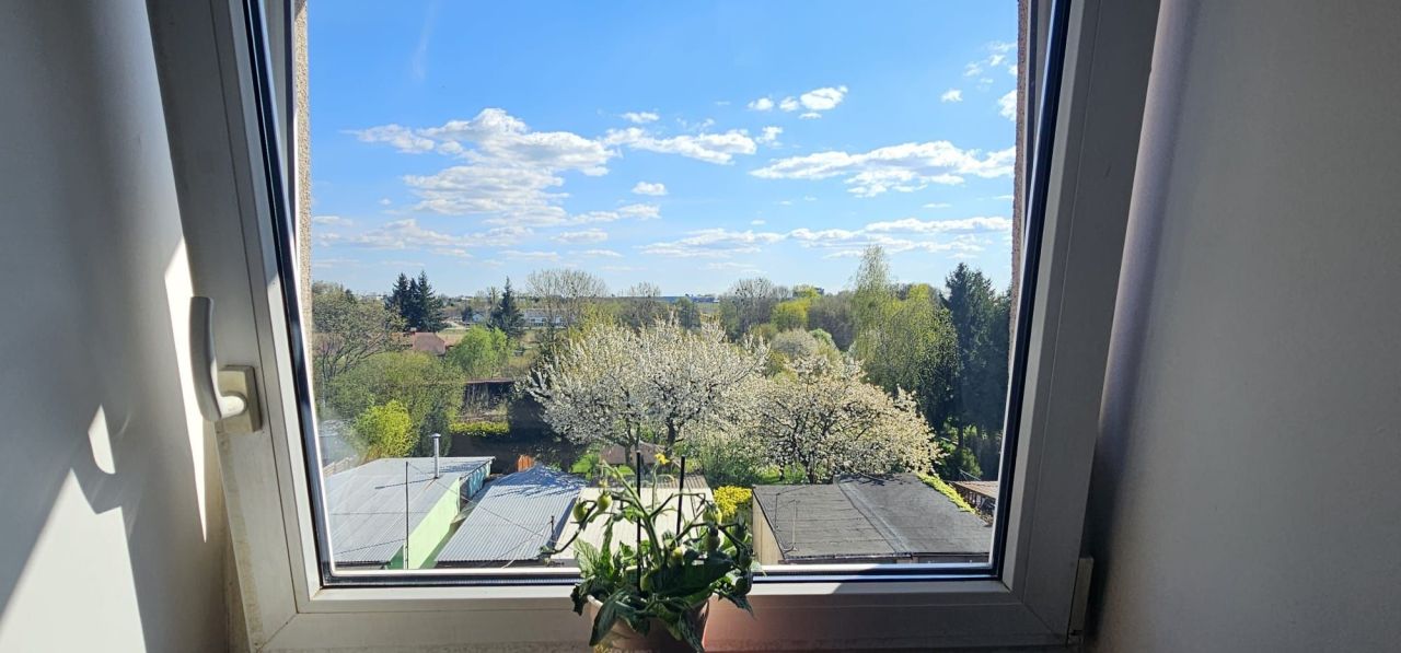 Mieszkanie 2-pokojowe Świebodzin. Zdjęcie 6