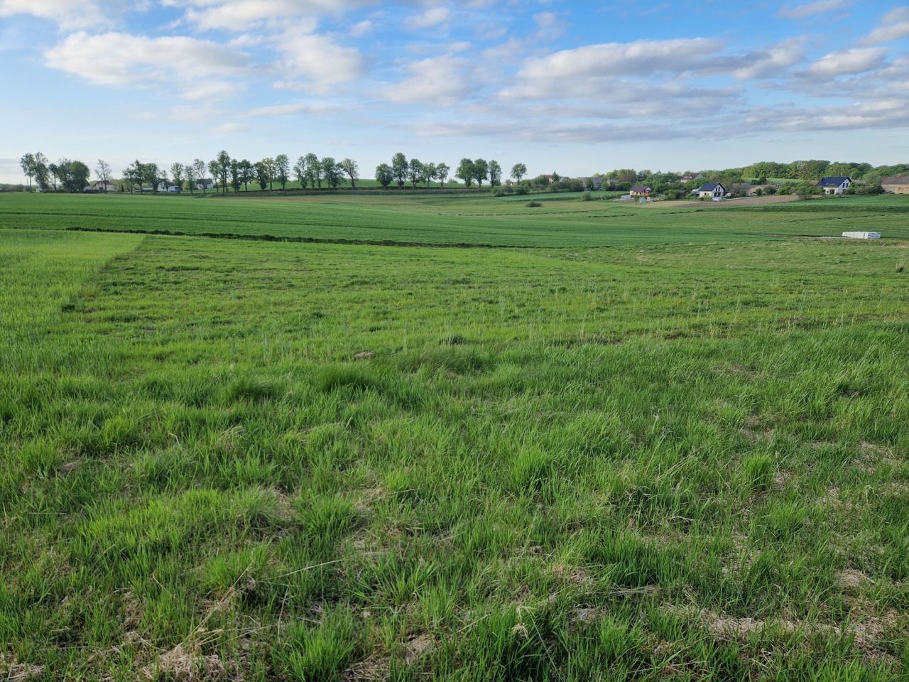 Działka budowlana Barłomino. Zdjęcie 1