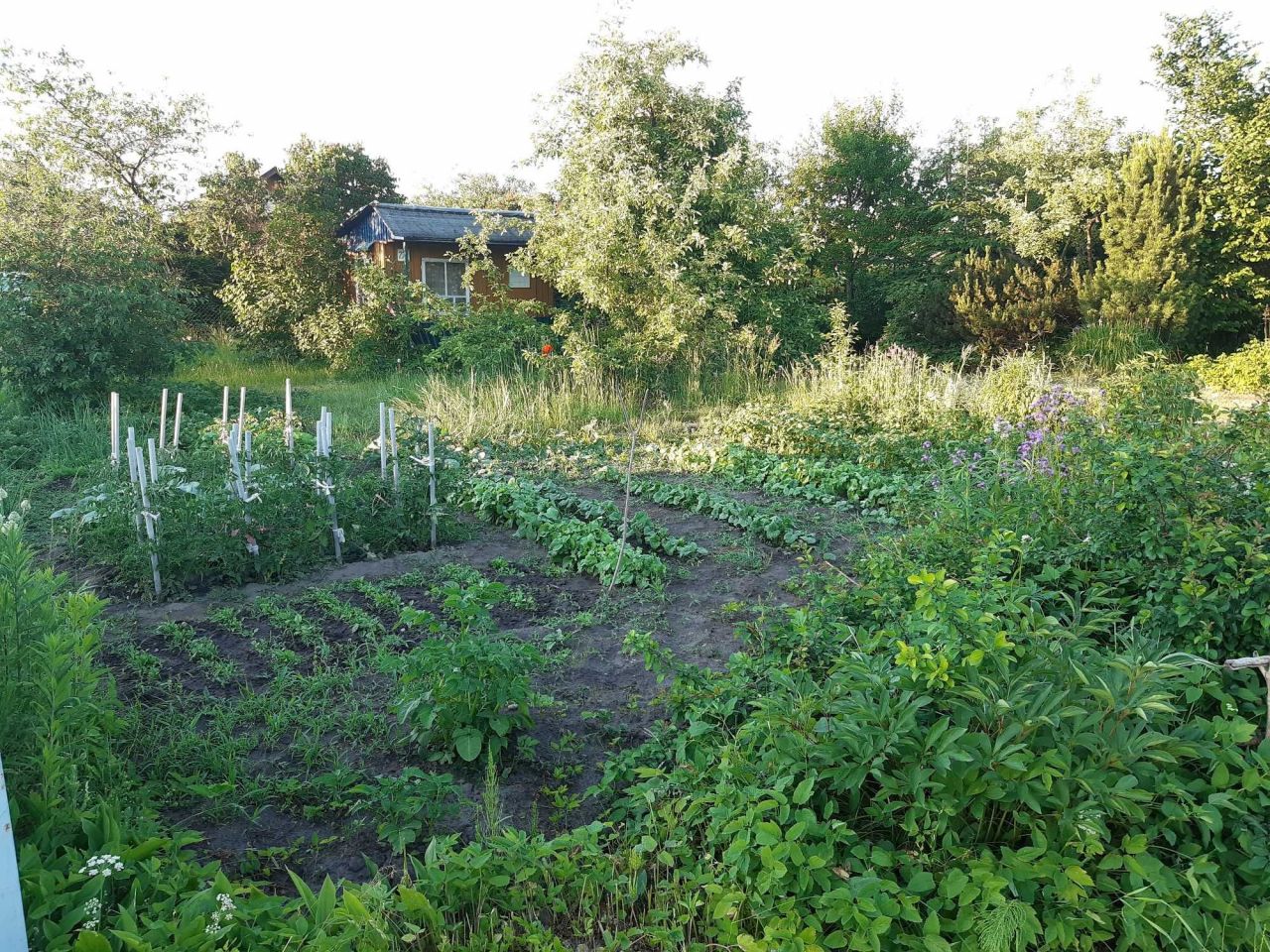 Działka rekreacyjna Białystok Antoniuk, ul. Świętokrzyska