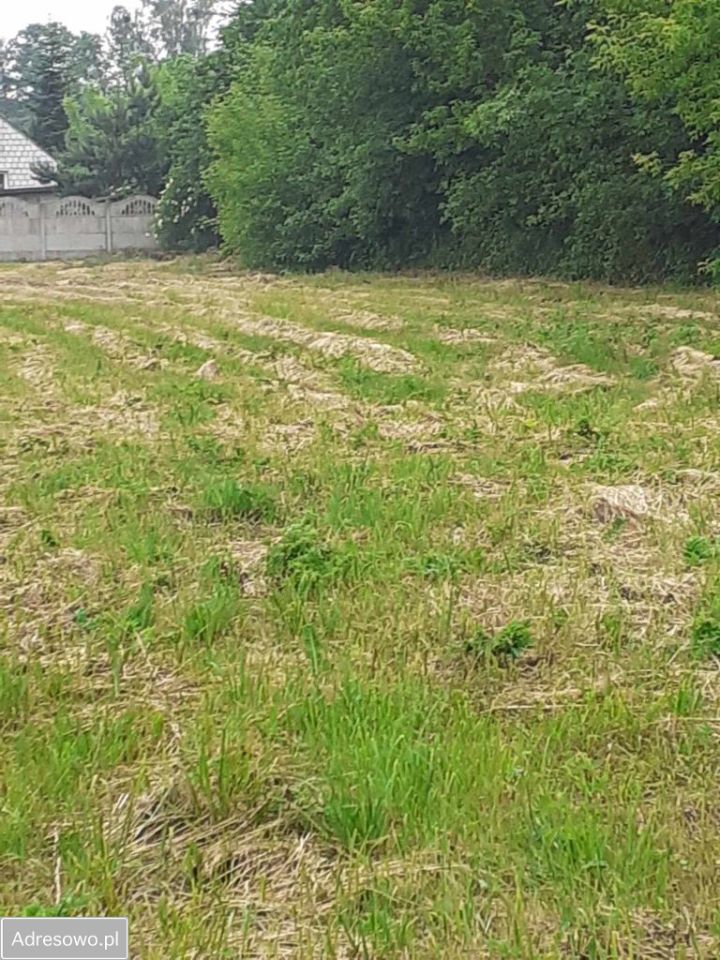 Działka budowlana Wielogóra, ul. Długa. Zdjęcie 4