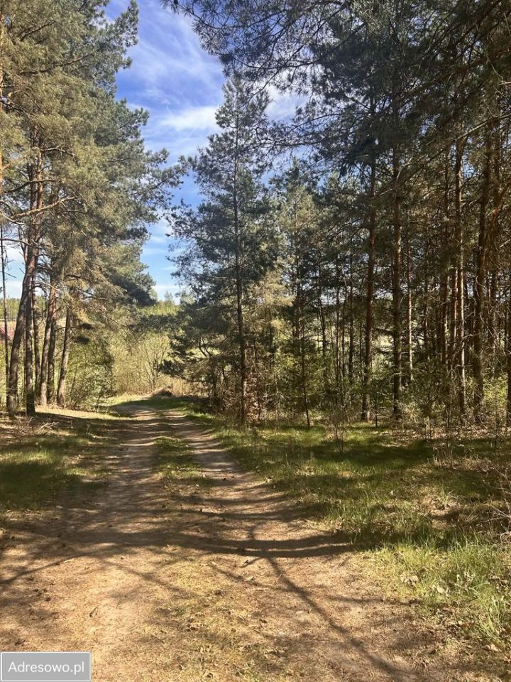 Działka budowlana Wycinki. Zdjęcie 2