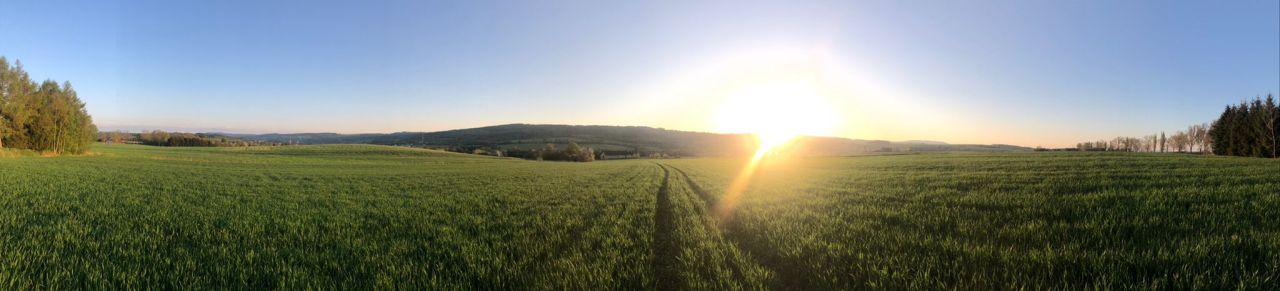 Działka budowlana Międzylesie, ul. Warszawska. Zdjęcie 2