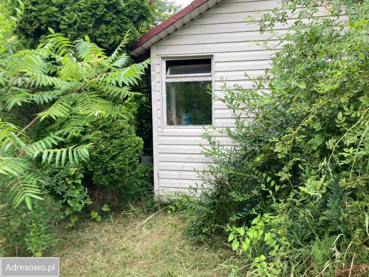 Działka rod Wołomin, ul. Zielona. Zdjęcie 5