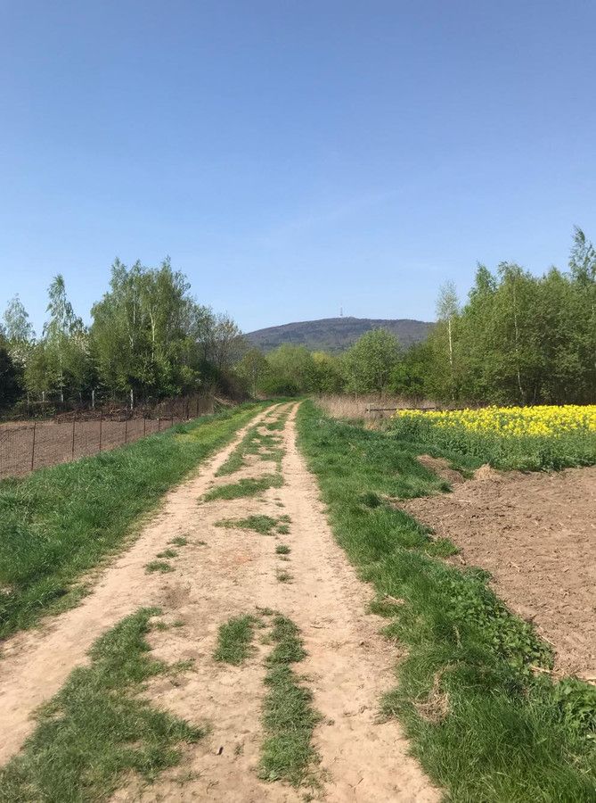 Działka budowlana Księginice Małe, ul. Zbożowa. Zdjęcie 2