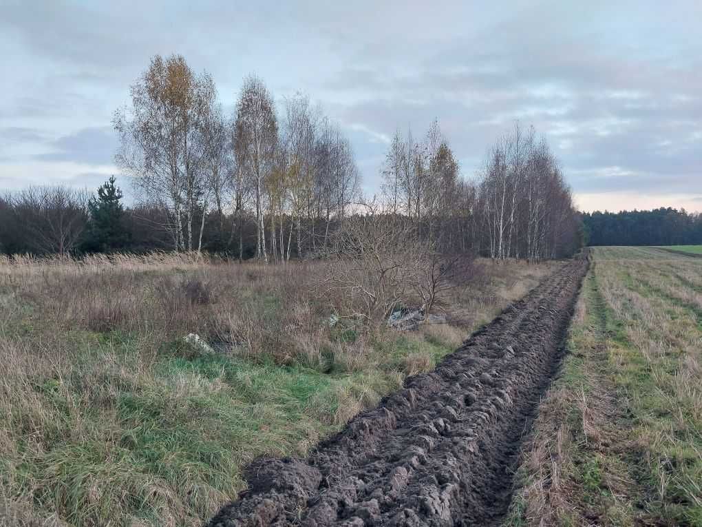dom wolnostojący Pałki. Zdjęcie 2