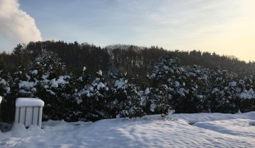 Działka budowlana Łaziska Górne Brada, ul. ks. Prałata Konrada Szwedy