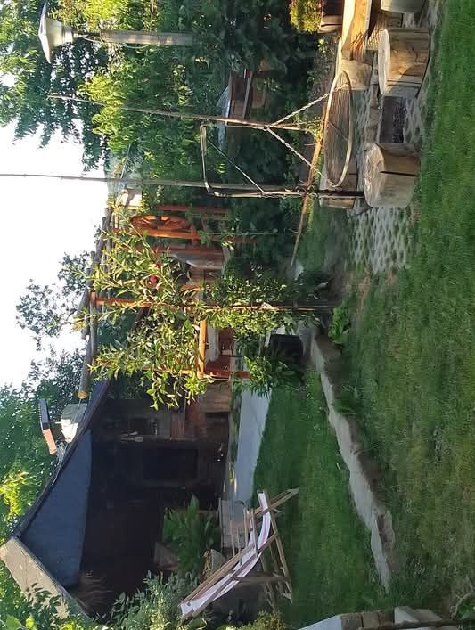 dom wolnostojący, 8 pokoi Piwniczna-Zdrój Koszarzyska, Sucha Dolina. Zdjęcie 19