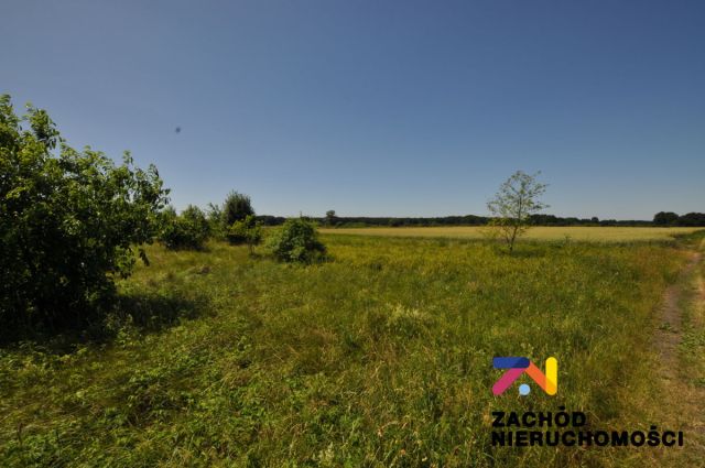 Działka rolna Zielona Góra Zawada. Zdjęcie 2