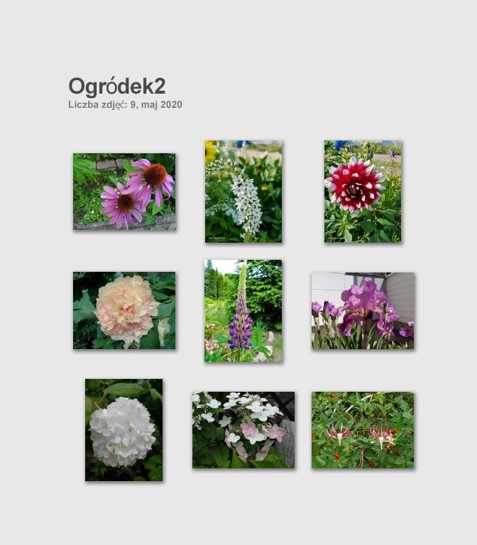 dom wolnostojący, 5 pokoi Długa Szlachecka, ul. Jana Matejki. Zdjęcie 12