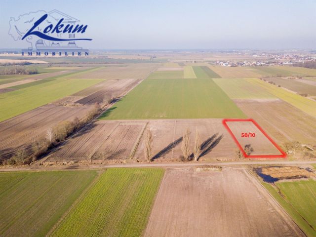 Działka siedliskowa Przybyszewo. Zdjęcie 6