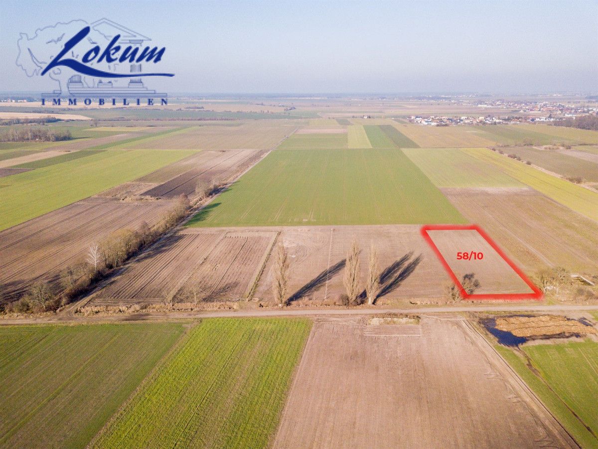 Działka siedliskowa Przybyszewo. Zdjęcie 6