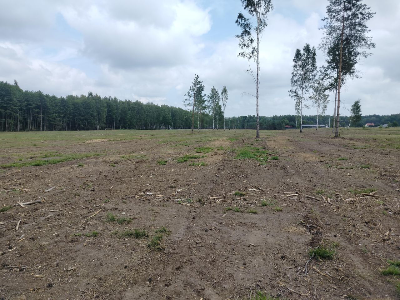 Działka rolna Krzyżówka, ul. Zarzeczna. Zdjęcie 7