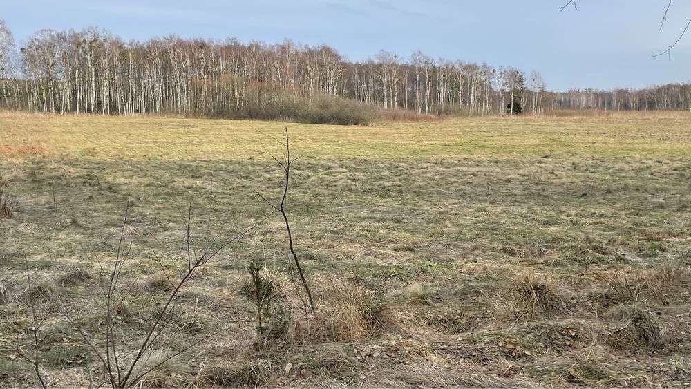 Działka Dubicze Cerkiewne. Zdjęcie 4