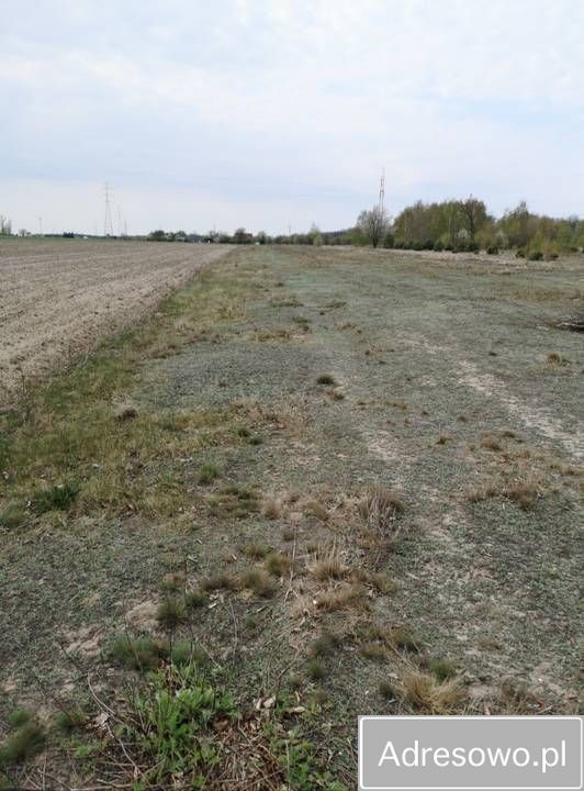 Działka budowlana Bartodzieje. Zdjęcie 5