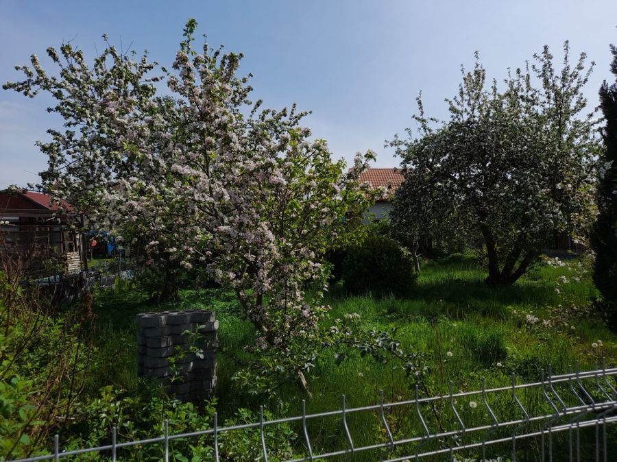 Działka rod Gdańsk Osowa. Zdjęcie 10