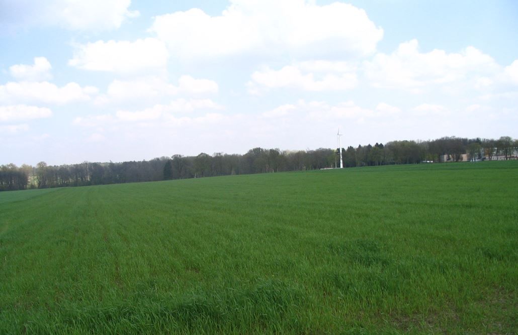 Działka rolna Golina. Zdjęcie 2