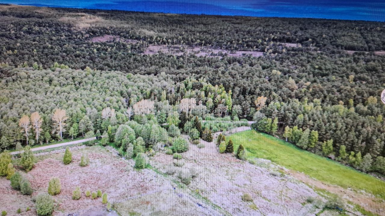 Działka rolna Białogóra. Zdjęcie 2