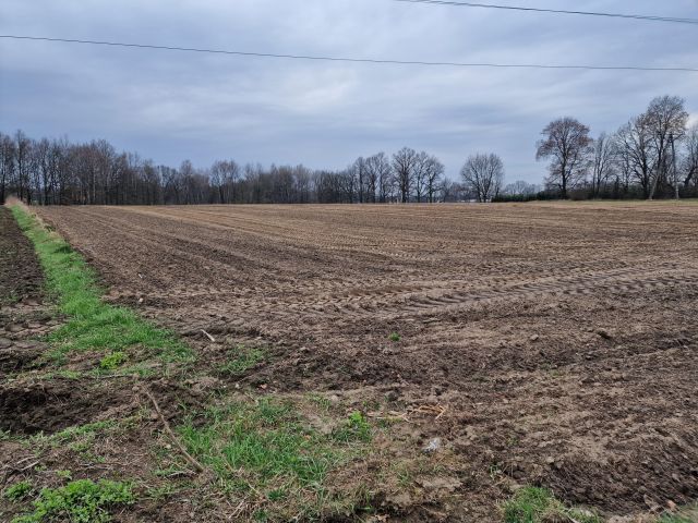 Działka rolna Ćwiklice, bez nazwy. Zdjęcie 1