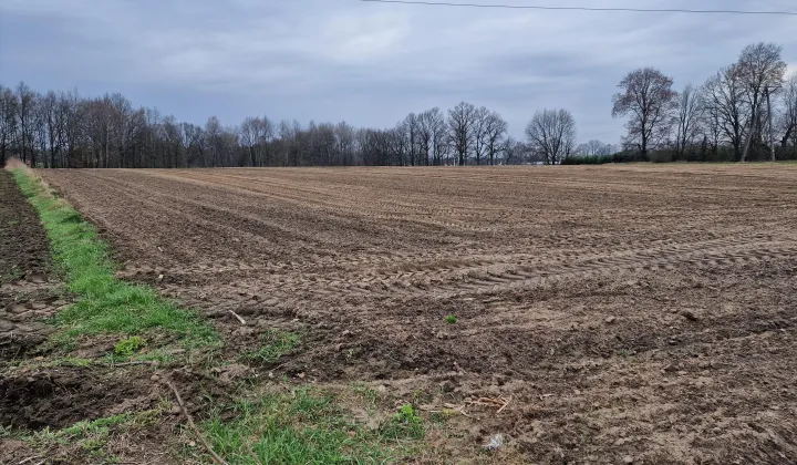 Działka rolna Ćwiklice, bez nazwy