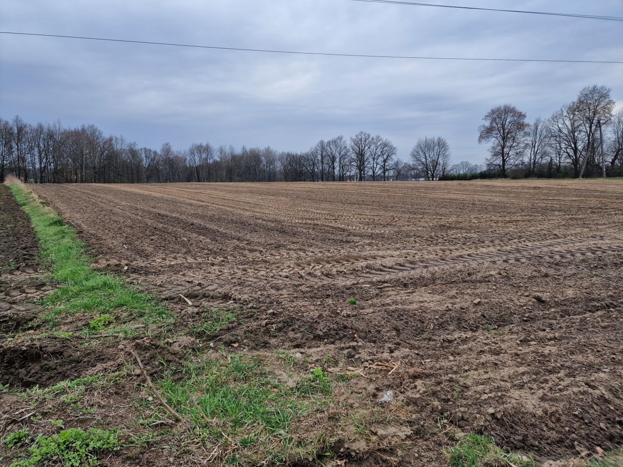 Działka rolna Ćwiklice, bez nazwy. Zdjęcie 1