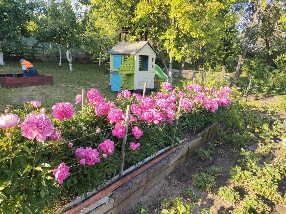 Działka rod Gorzów Wielkopolski, ul. Siewna. Zdjęcie 3