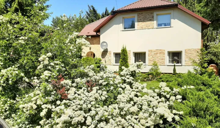 dom wolnostojący, 4 pokoje Radonie, ul. Widokowa