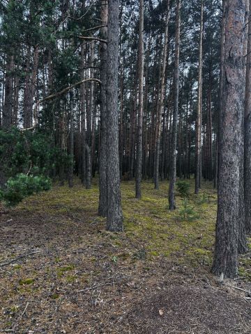 Działka budowlana Pszczółki. Zdjęcie 1