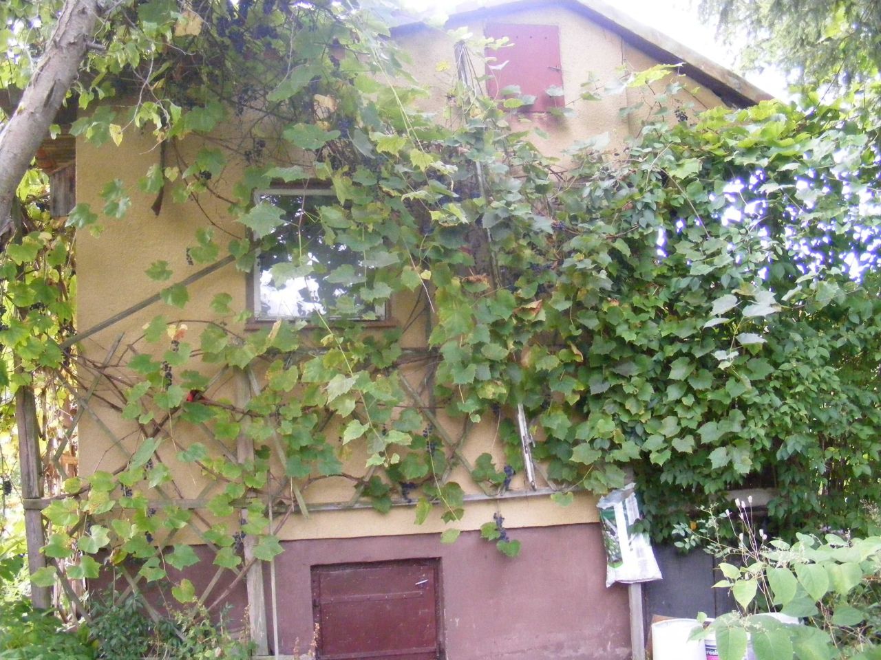 Działka rod Kielce. Zdjęcie 3