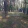 Działka leśna Sękocin-Las. Zdjęcie 8