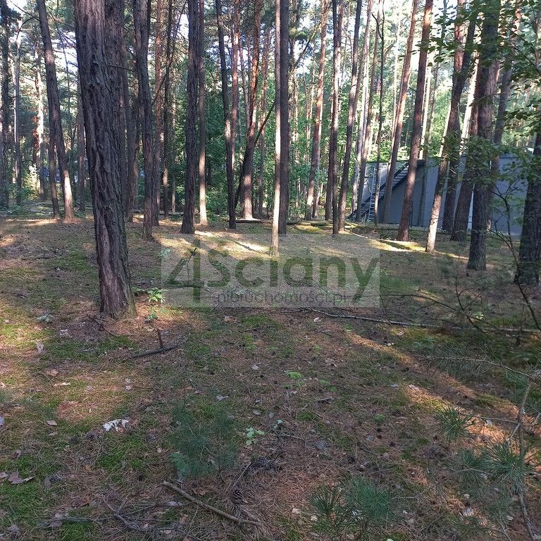 Działka leśna Sękocin-Las. Zdjęcie 8