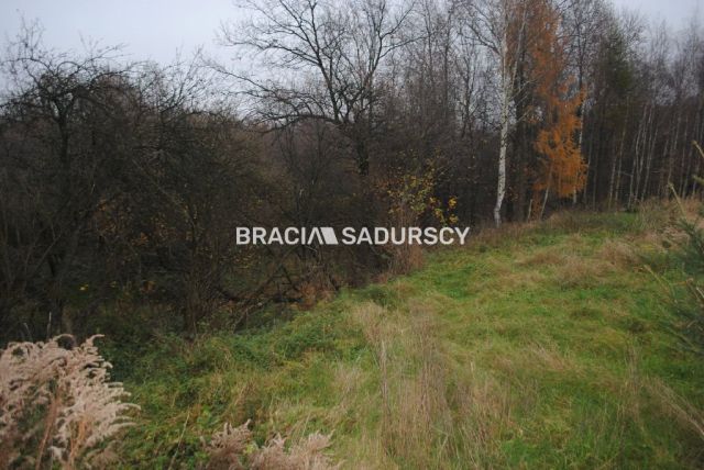 Działka rolna Libertów. Zdjęcie 15