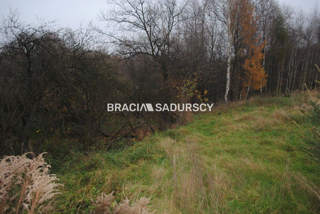 Działka rolna Libertów. Zdjęcie 15