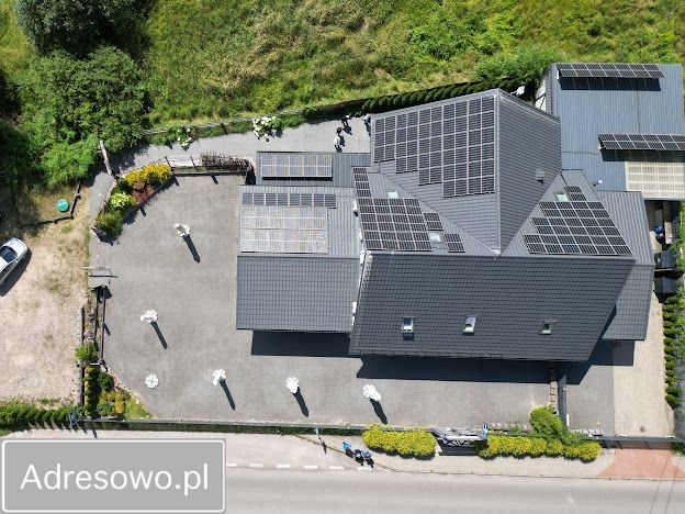 Lokal Białowieża. Zdjęcie 14