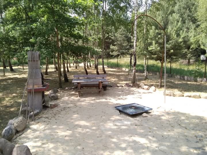 Działka budowlana Brudnów. Zdjęcie 6