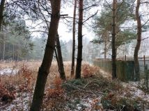 Działka budowlana Gola Wielka. Zdjęcie 3