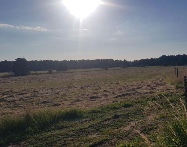 Działka budowlana Sarbsk, Sarbsk. Zdjęcie 7