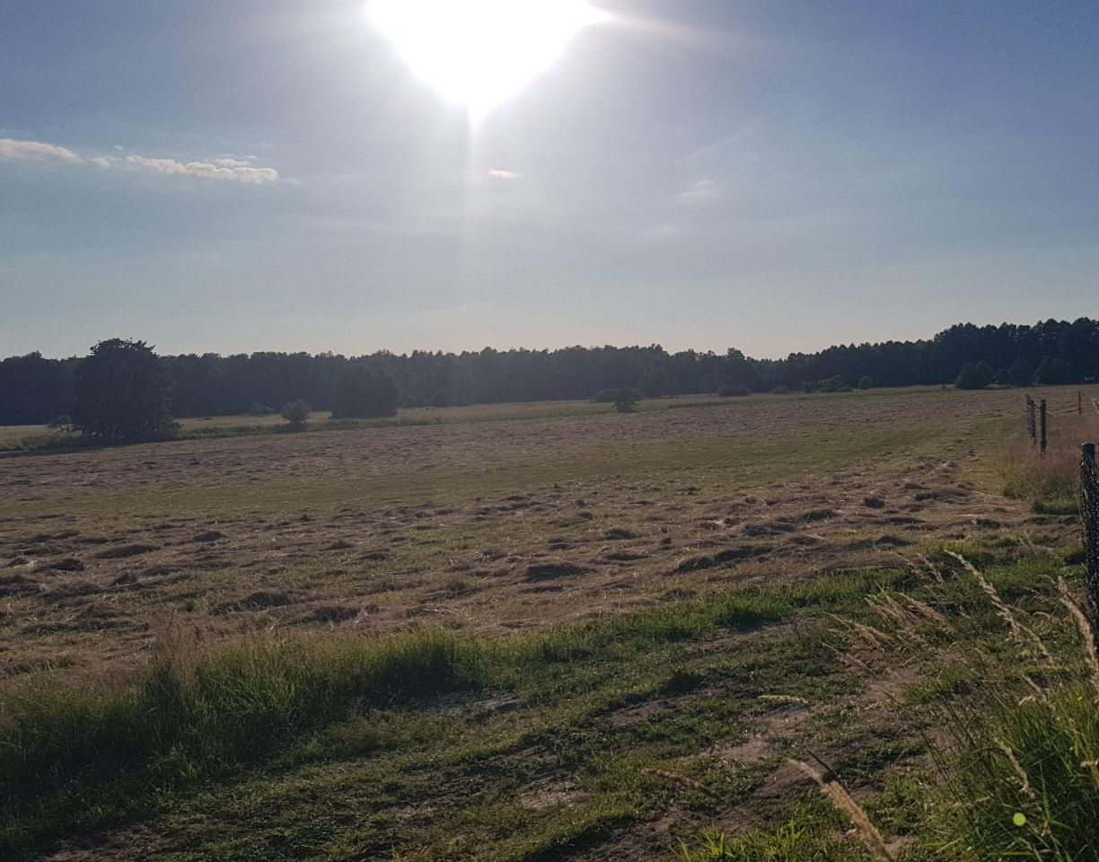 Działka budowlana Sarbsk, Sarbsk. Zdjęcie 7