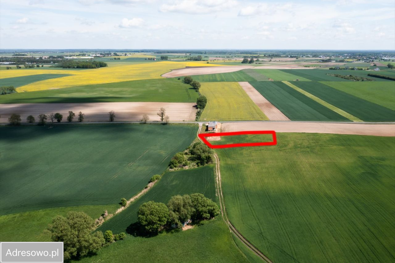 Działka rolna Zielątkowo. Zdjęcie 6