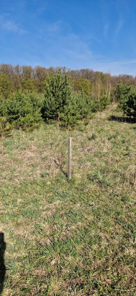 Działka budowlana Grzybowo. Zdjęcie 12