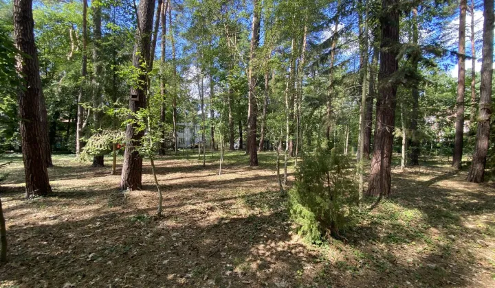 Działka inwestycyjna Podkowa Leśna, ul. Zamkowa